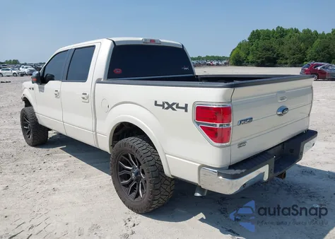 2009 Ford F-150 Fx4/King Ranch/Lariat/Platinum/Xl/Xlt from USA, damaged, VIN 1FTPW14V69FA03911